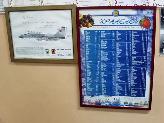 Благодарствен лист от авиобаза Граф Игнатиево, 2009 г., до плакат за храненето